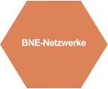BNE-Netzwerke